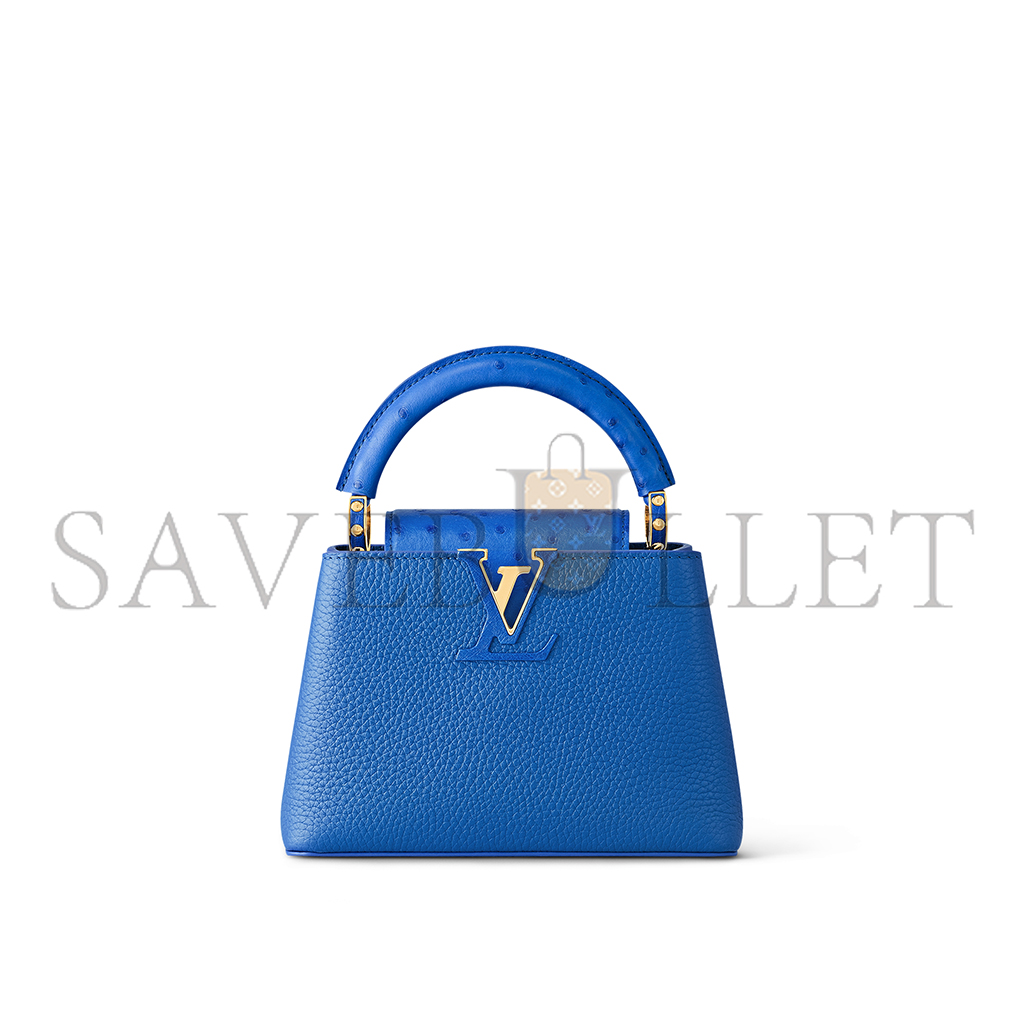 LOUIS VUITTON CAPUCINES MINI N83928 (21*14*8cm)